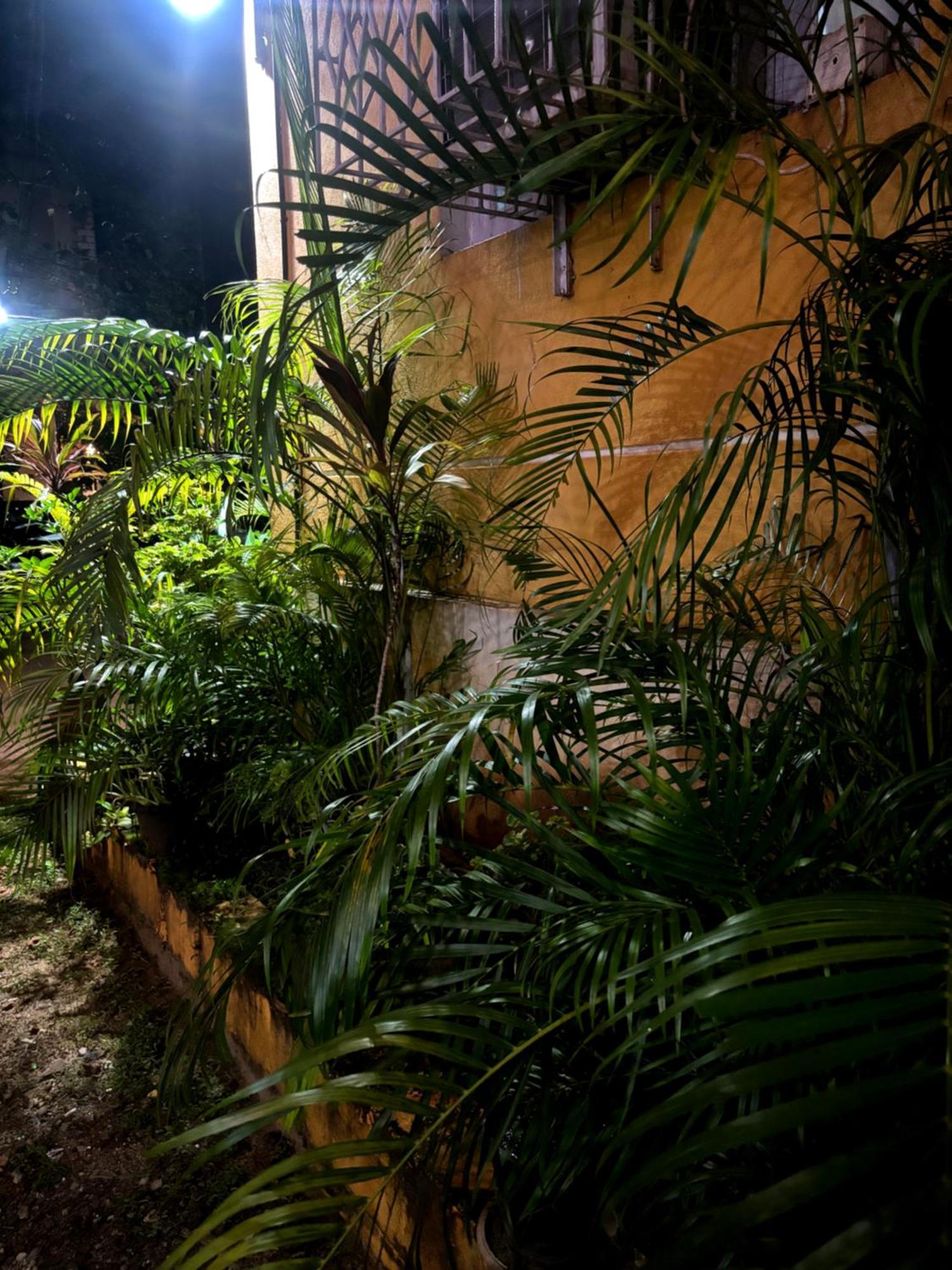 Hotel Harmony By Heaven Calangute Exterior foto